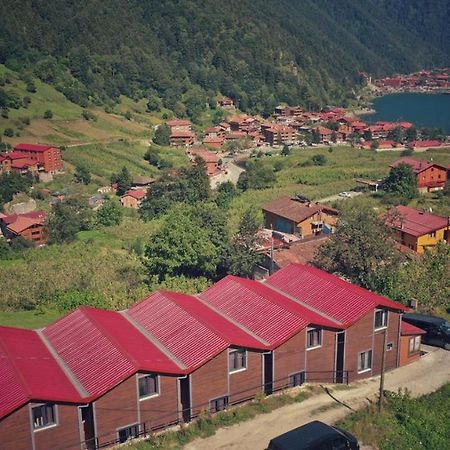 Horio Villa Uzungol Exterior photo