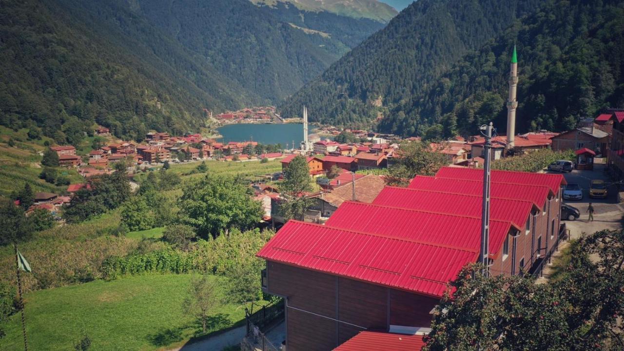 Horio Villa Uzungol Exterior photo